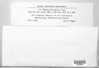 Image Associated With the Occurence